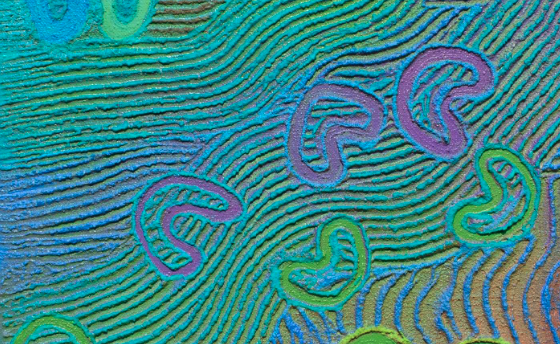 Indigenous Calendar