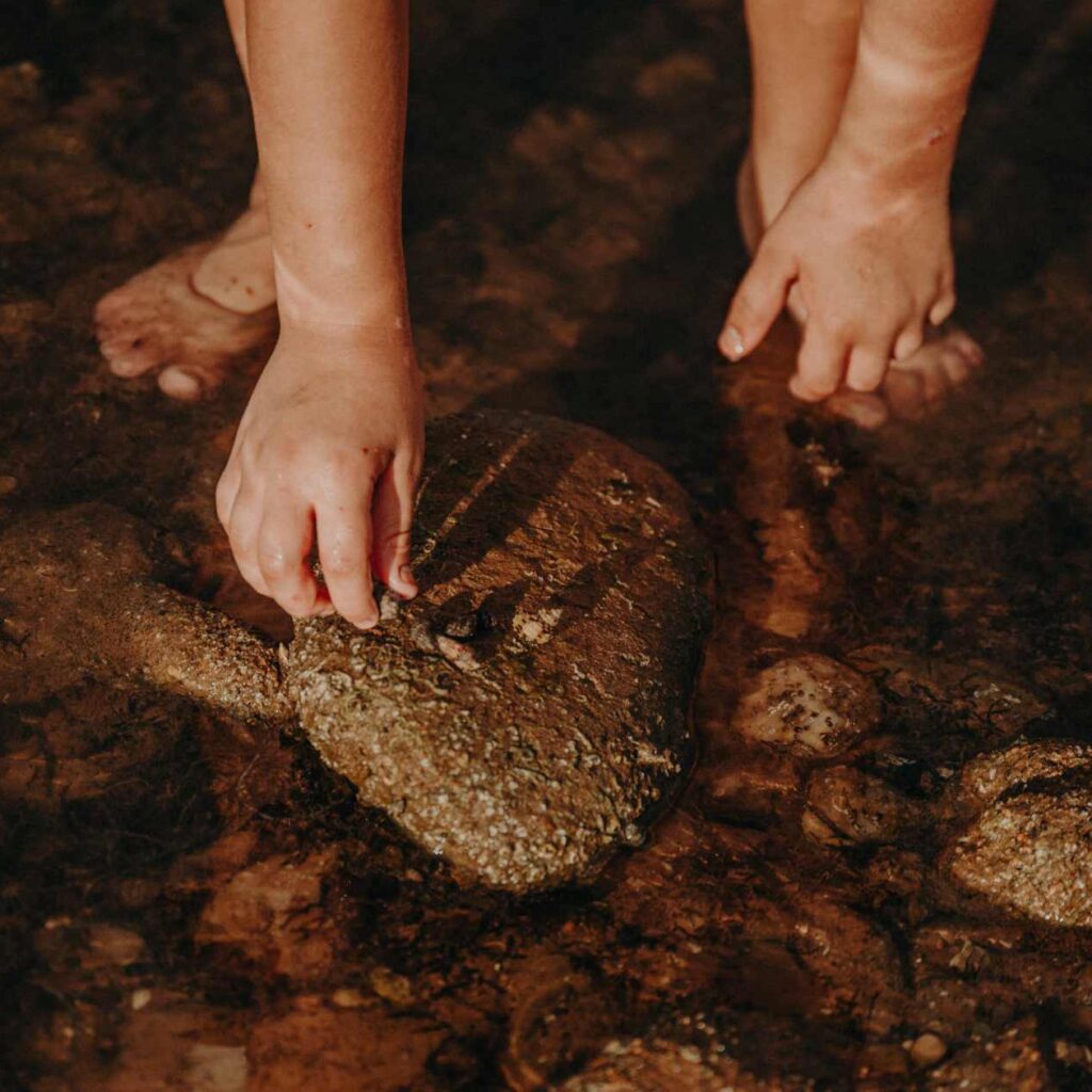 Solid Rock. Sacred Ground. Real Allyship.